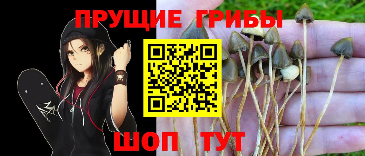 Галлюциногенные грибы Cubensis  Вход с VPN  Орёл 